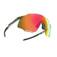 Okuliare DYNAFIT Alpine Evo Sunglasses sage/thyme